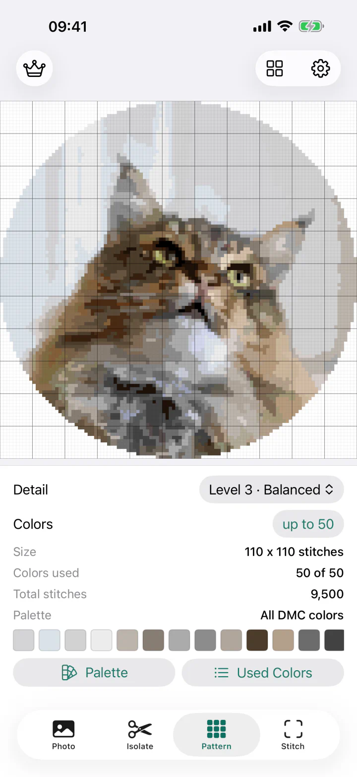 Photo becoming a cross-stitch pattern in Skeina
